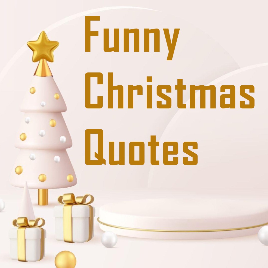 Funny Christmas Quotes 